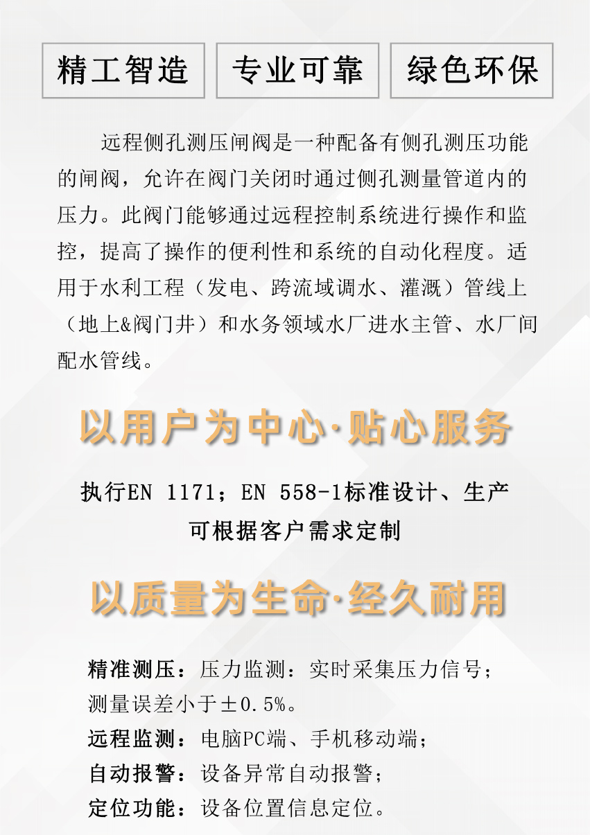 遠(yuǎn)程側(cè)孔測壓閘閥_02.jpg